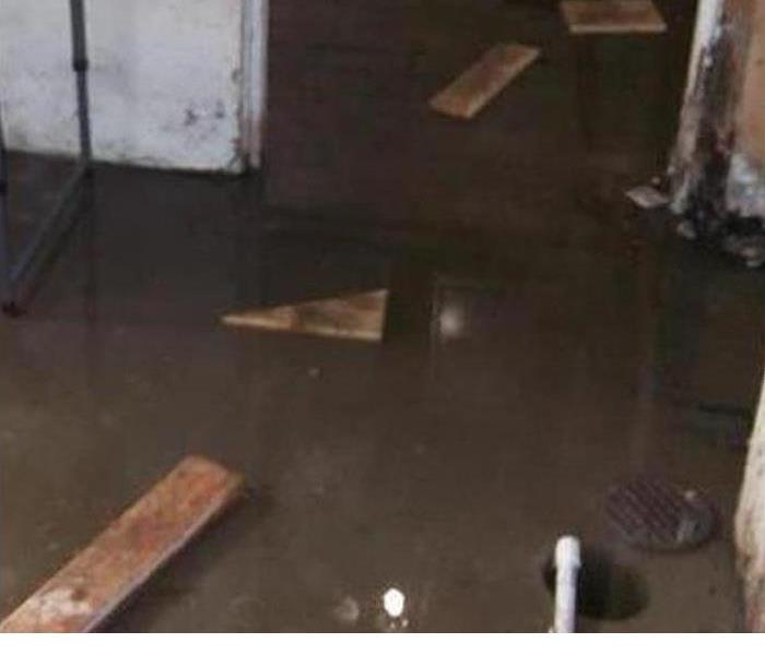 Basement with standing water with floating wood pieces