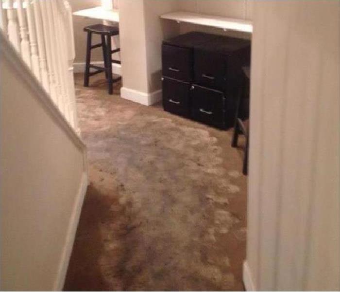 Beige carpet with water spots by filing cabinets and stairs