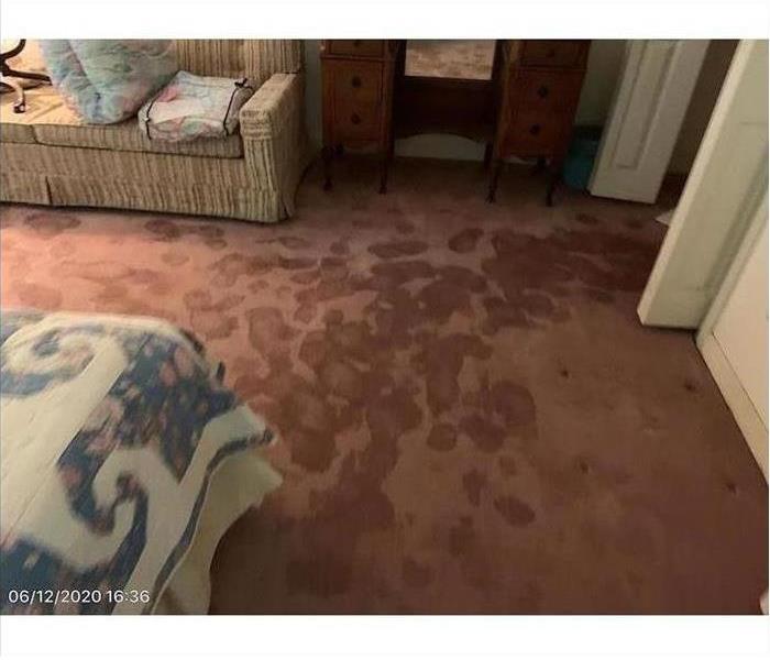 Water spots on a mauve carpet with furniture 