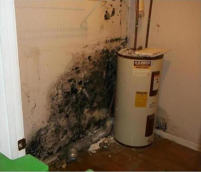 Wall with mold damage by a water heater 