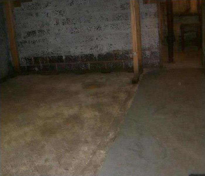 Basement with a concrete floor and cinder block walls