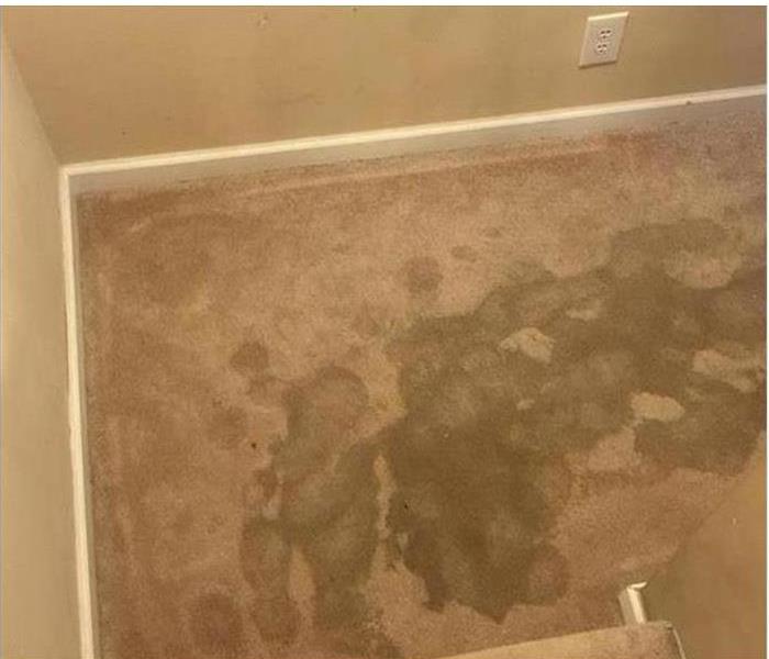 Stairwell with water damage on beige carpet