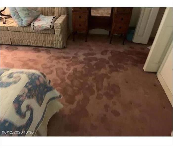 Mauve carpet with water spots and furniture
