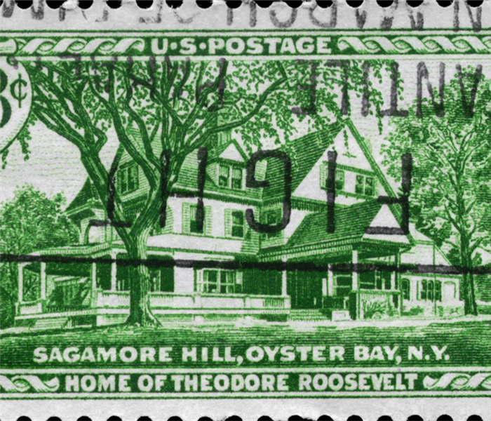 a postage stamp from oyster bay