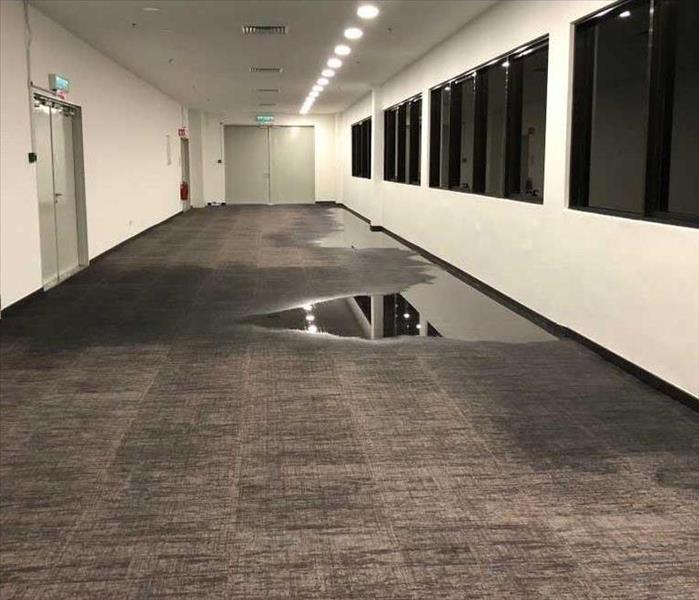 An office building hallway is flooded, carpets show pooled water.